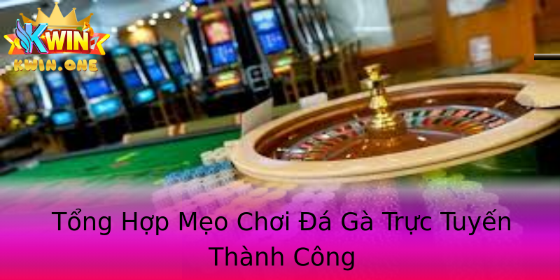 Tổng Hợp Mẹo Chơi Đá Gà Trực Tuyến Thành Công Tổng Hợp Mẹo Chơi Đá Gà Trực Tuyến Thành Công