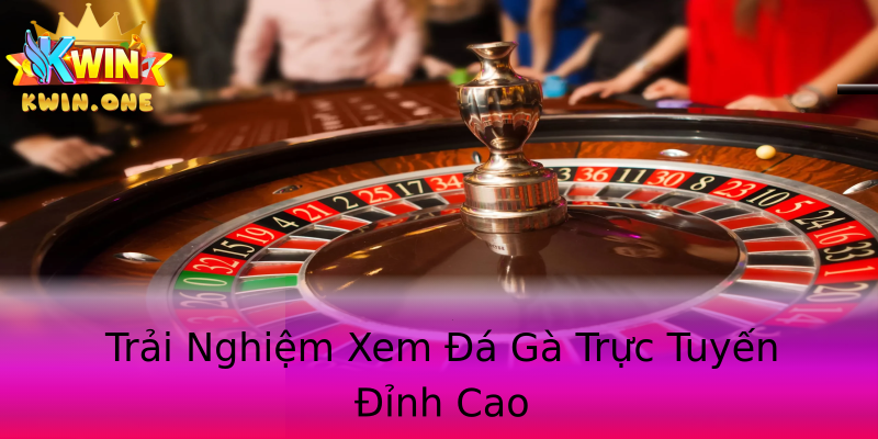 Trải Nghiệm Xem Đá Gà Trực Tuyến Đỉnh Cao Trải Nghiệm Xem Đá Gà Trực Tuyến Đỉnh Cao